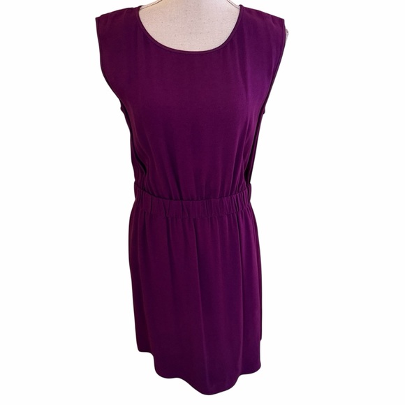 Theory Dresses & Skirts - Theory purple sleeveless "Lydan" Mini Dress S, casual with pockets